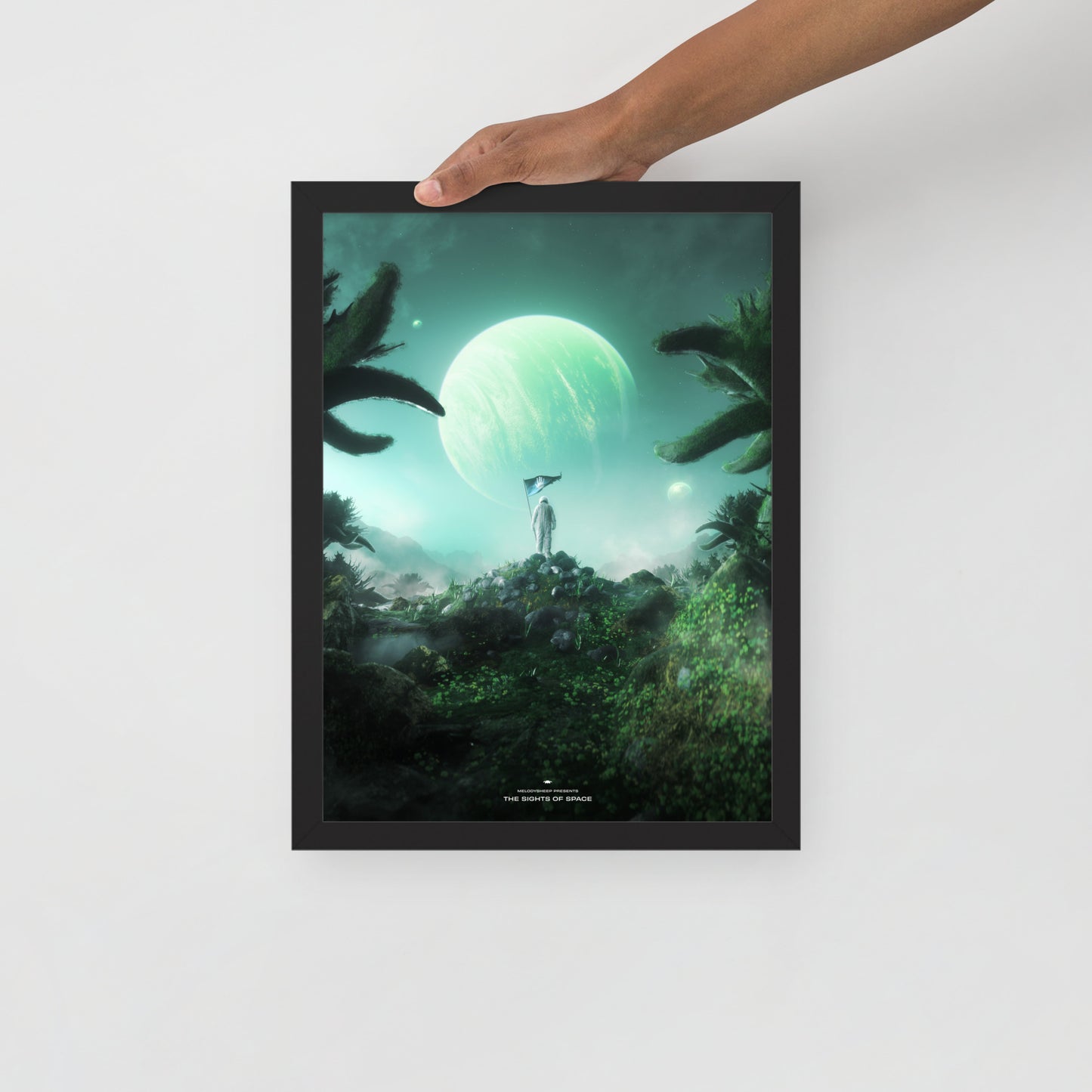 The Sights of Space Poster