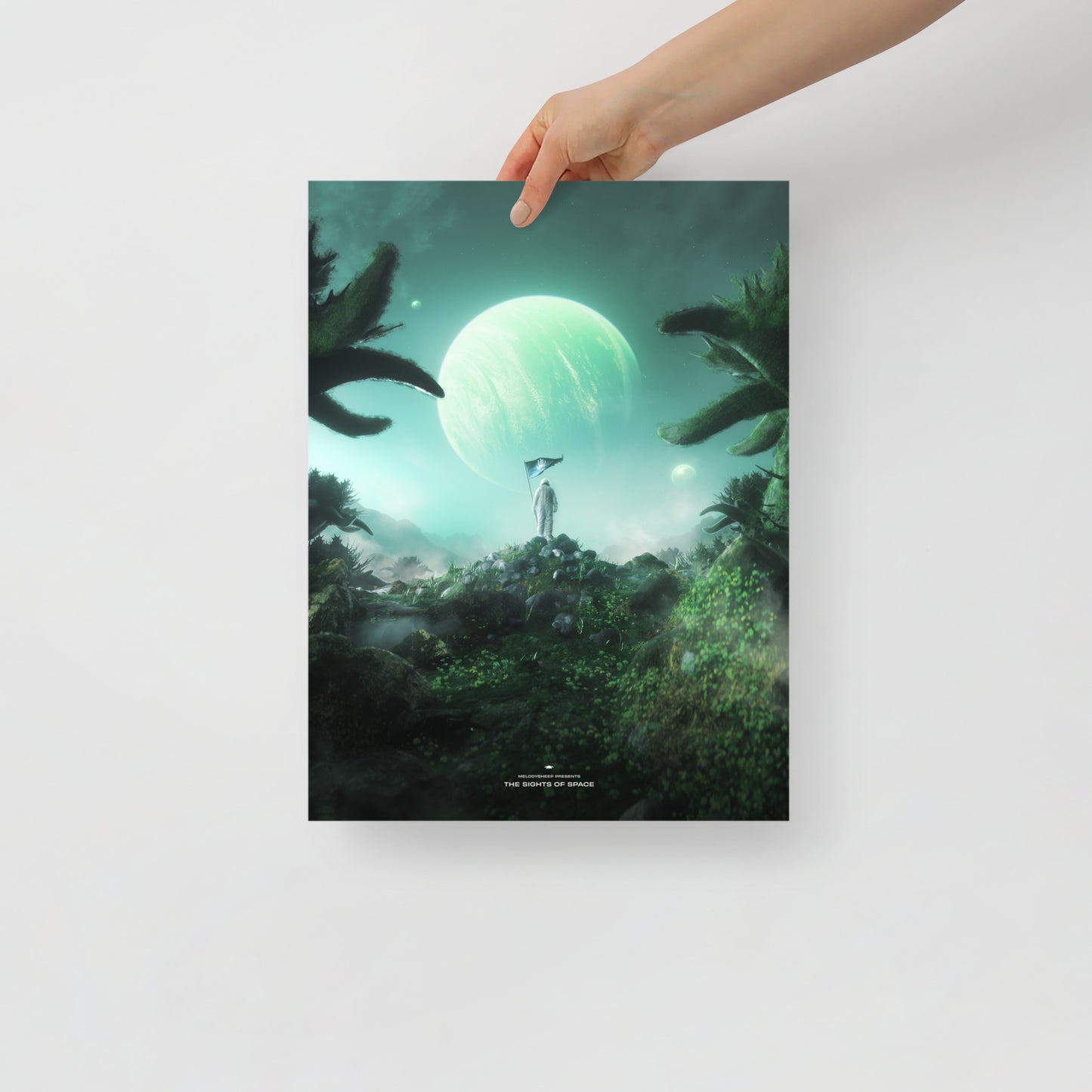 The Sights of Space Poster